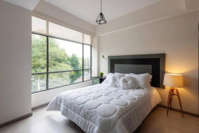 Central and cozy CDMX 1BR